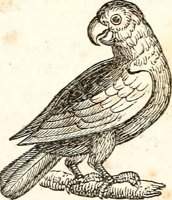 An illustration from The girl's own book, 1833, leaf 95