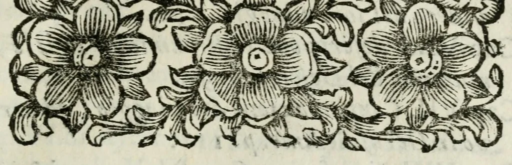 An illustration from Giro del mondo del dottor d. Gio. Francesco Gemelli Careri, 1699, leaf 19