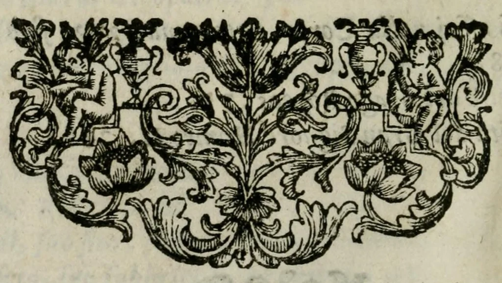 An illustration from Giro del mondo del dottor d. Gio. Francesco Gemelli Careri, 1699, leaf 492