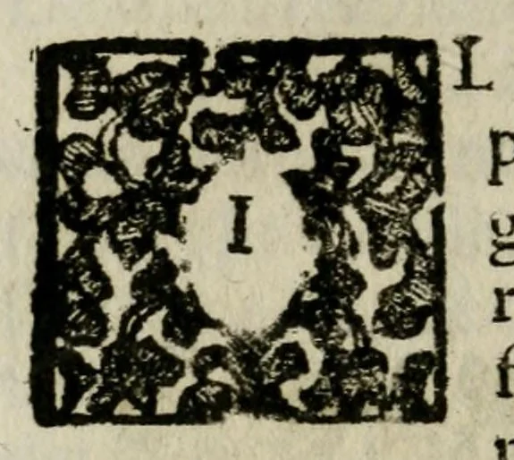An illustration from Giro del mondo del dottor d. Gio. Francesco Gemelli Careri, 1699, leaf 200