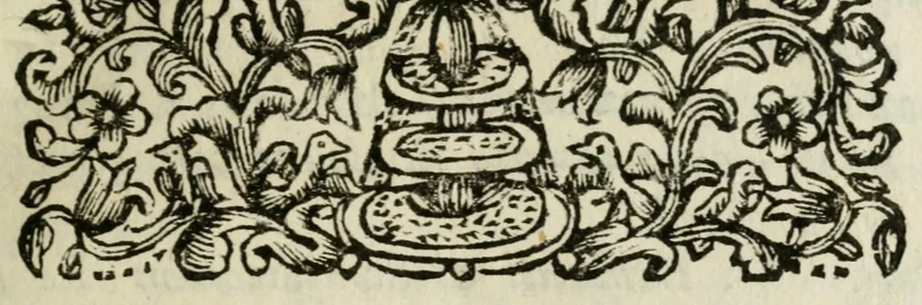 An illustration from Giro del mondo del dottor d. Gio. Francesco Gemelli Careri, 1699, leaf 25