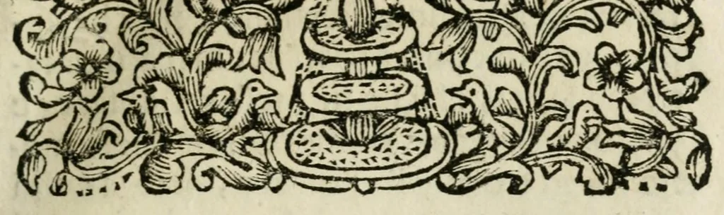 An illustration from Giro del mondo del dottor d. Gio. Francesco Gemelli Careri, 1699, leaf 29