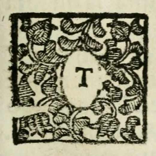 An illustration from Giro del mondo del dottor d. Gio. Francesco Gemelli Careri, 1699, leaf 29