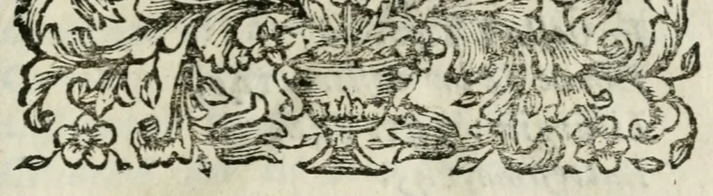 An illustration from Giro del mondo del dottor d. Gio. Francesco Gemelli Careri, 1699, leaf 379