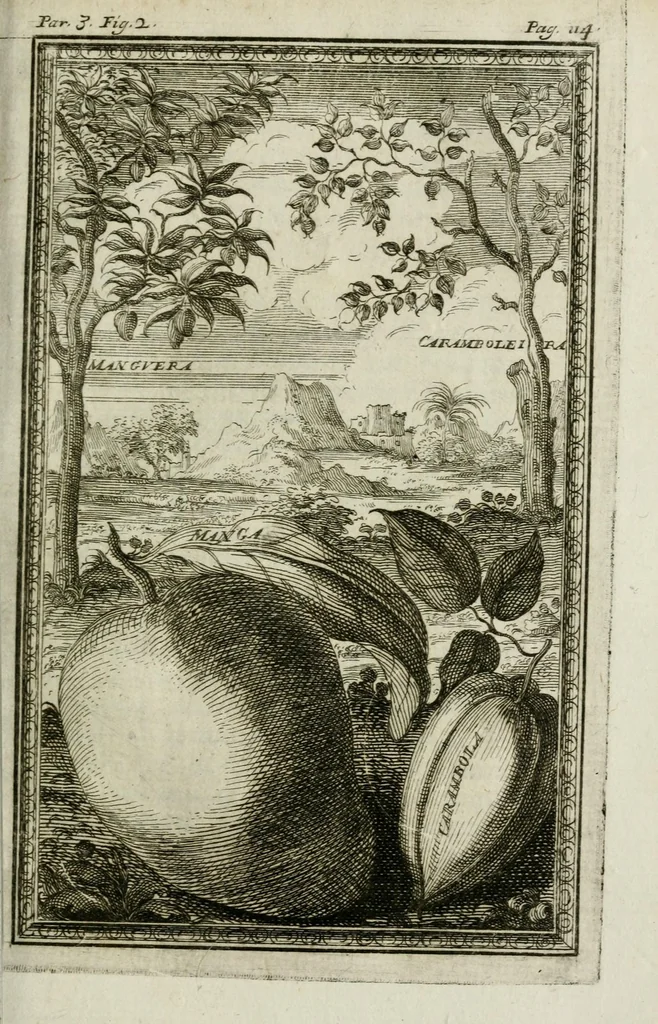 An illustration from Giro del mondo del dottor d. Gio. Francesco Gemelli Careri, 1699, leaf 133