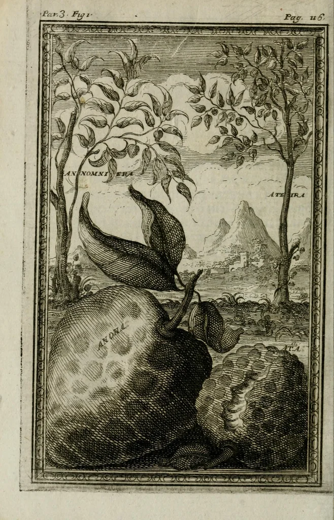 An illustration from Giro del mondo del dottor d. Gio. Francesco Gemelli Careri, 1699, leaf 138