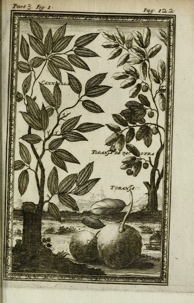 An illustration from Giro del mondo del dottor d. Gio. Francesco Gemelli Careri, 1699, leaf 157