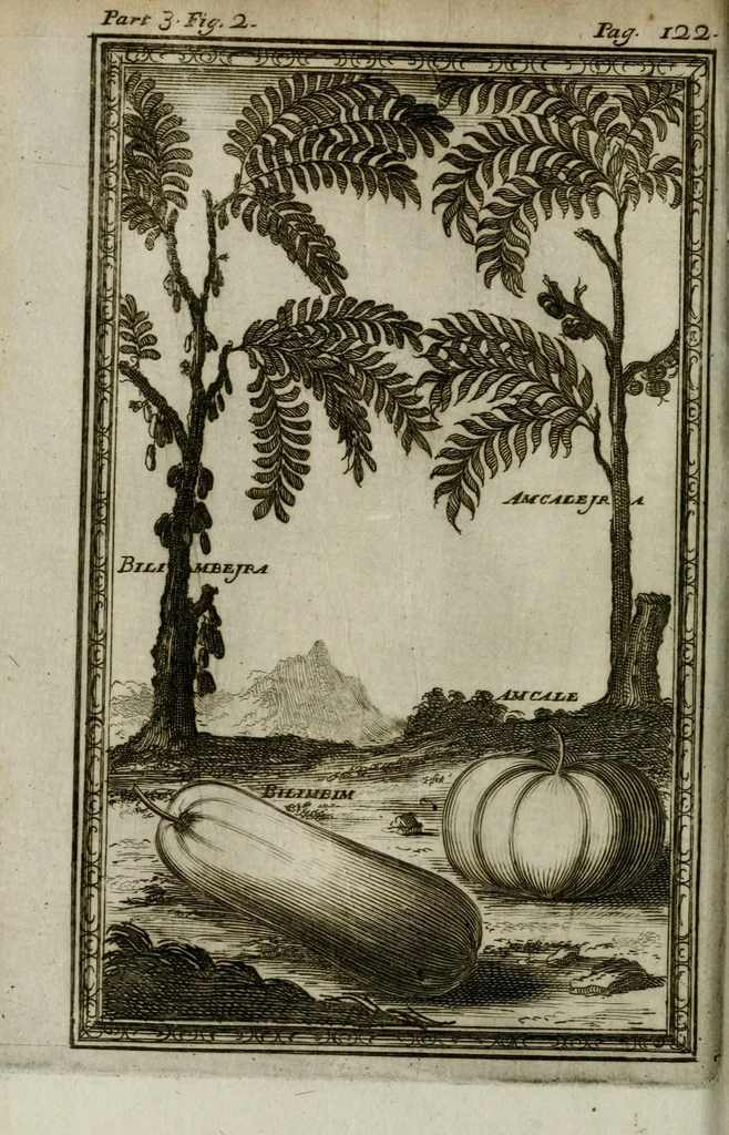 An illustration from Giro del mondo del dottor d. Gio. Francesco Gemelli Careri, 1699, leaf 160