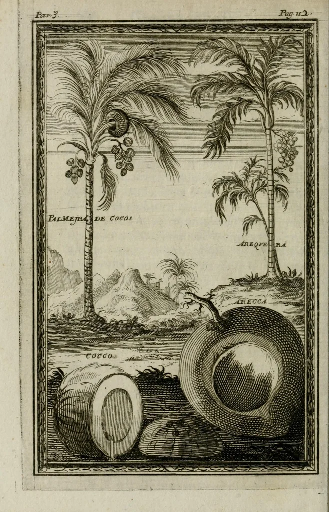 An illustration from Giro del mondo del dottor d. Gio. Francesco Gemelli Careri, 1699, leaf 26