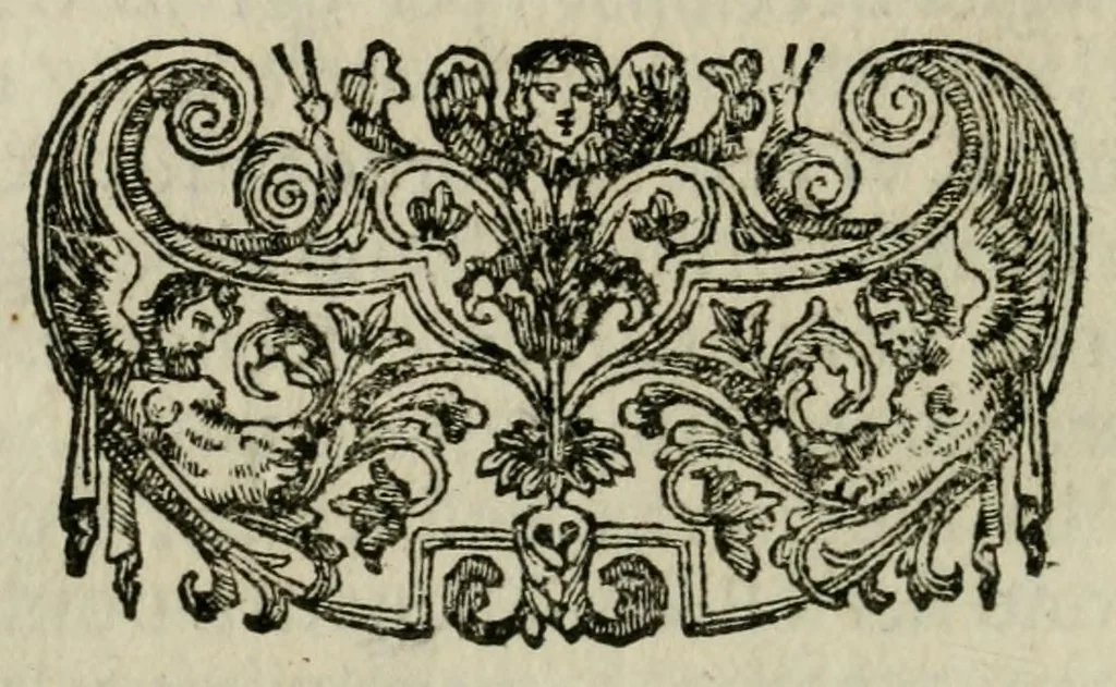 An illustration from Giro del mondo del dottor d. Gio. Francesco Gemelli Careri, 1699, leaf 348