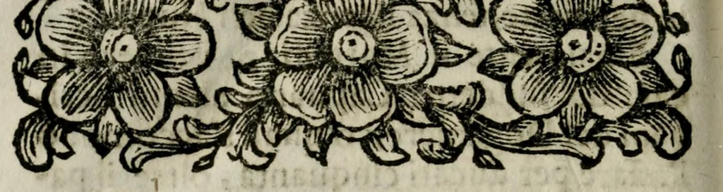 An illustration from Giro del mondo del dottor d. Gio. Francesco Gemelli Careri, 1699, leaf 566