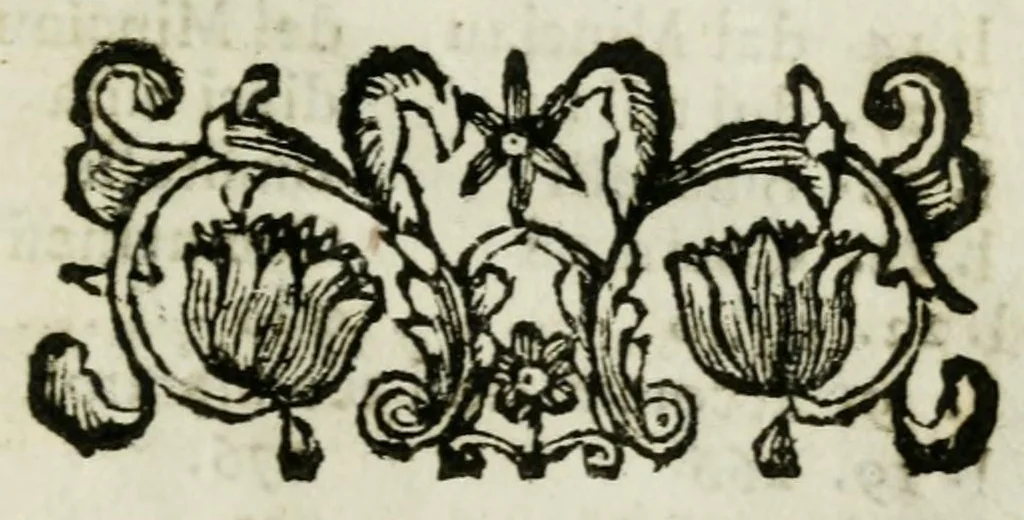 An illustration from Giro del mondo del dottor d. Gio. Francesco Gemelli Careri, 1699, leaf 575