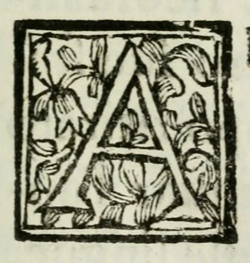An illustration from Giro del mondo del dottor d. Gio. Francesco Gemelli Careri, 1699, leaf 9
