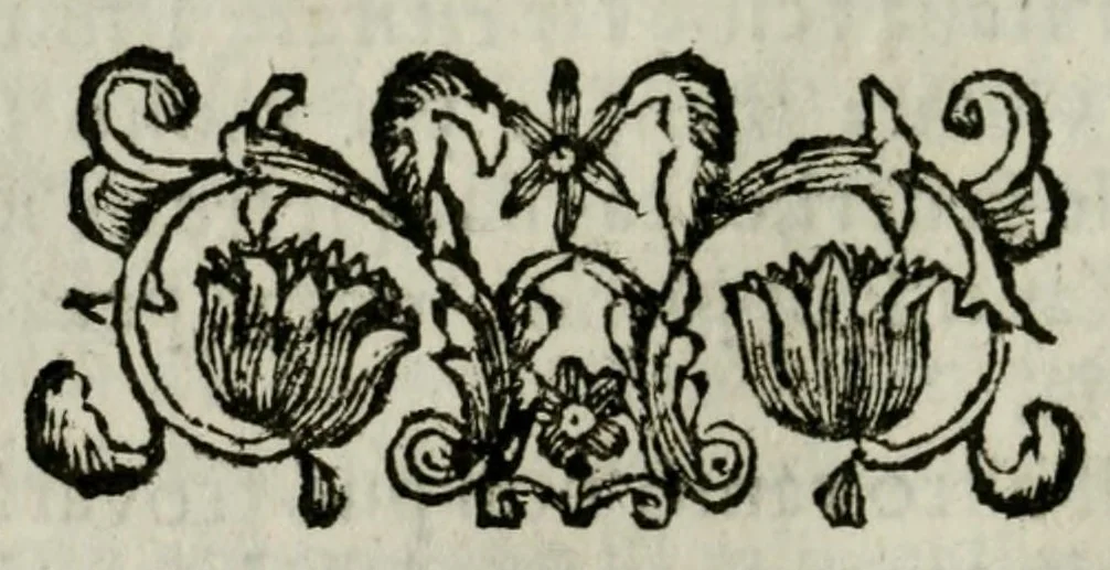 An illustration from Giro del mondo del dottor d. Gio. Francesco Gemelli Careri, 1699, leaf 138