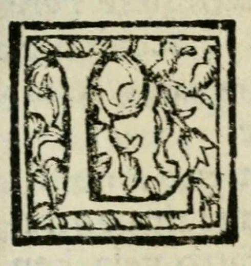 An illustration from Giro del mondo del dottor d. Gio. Francesco Gemelli Careri, 1699, leaf 269