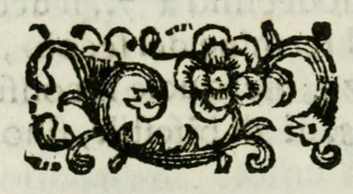 An illustration from Giro del mondo del dottor d. Gio. Francesco Gemelli Careri, 1699, leaf 100
