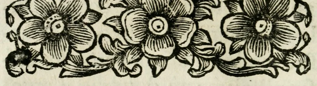 An illustration from Giro del mondo del dottor d. Gio. Francesco Gemelli Careri, 1699, leaf 16