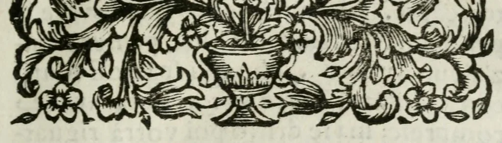An illustration from Giro del mondo del dottor d. Gio. Francesco Gemelli Careri, 1699, leaf 21