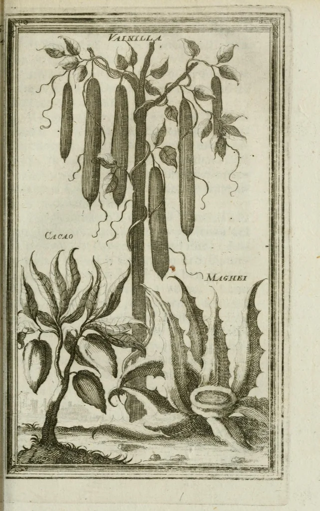 An illustration from Giro del mondo del dottor d. Gio. Francesco Gemelli Careri, 1699, leaf 271