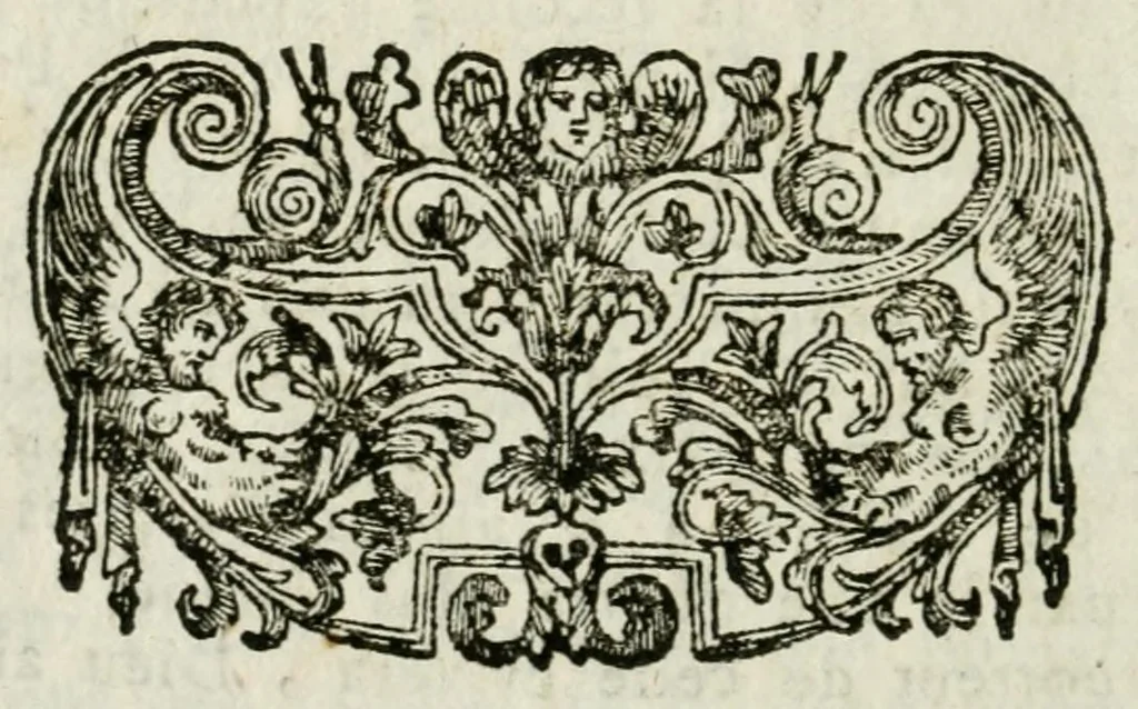 An illustration from Giro del mondo del dottor d. Gio. Francesco Gemelli Careri, 1699, leaf 534