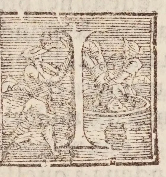 An illustration from Girolamo Borro ... Del flvsso, e reflvsso del mare, & dell'inondatione del Nilo, 1583, leaf 11