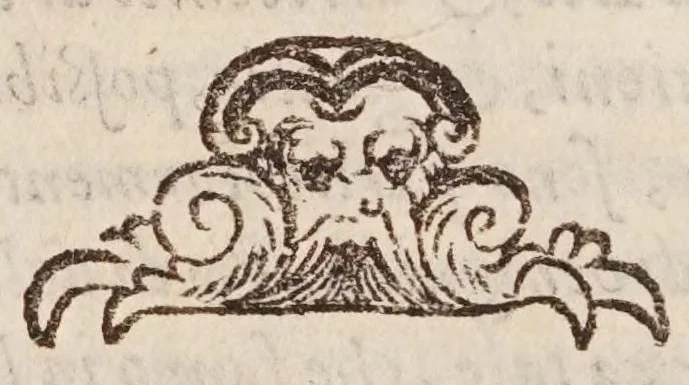 An illustration from Girolamo Borro ... Del flvsso, e reflvsso del mare, & dell'inondatione del Nilo, 1583, leaf 20