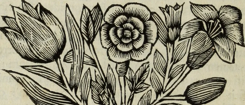 An illustration from Gisb. Cuperi Harpocrates, sive, Explicatio imagunculae argenteae perantiquae, quae in figuram Harpocratis formata representat solem : ejusdem Monumenta antiqua inedita ... ; accedit Stephani Le Moine Epistola de Melanophoris, 1687, leaf 191