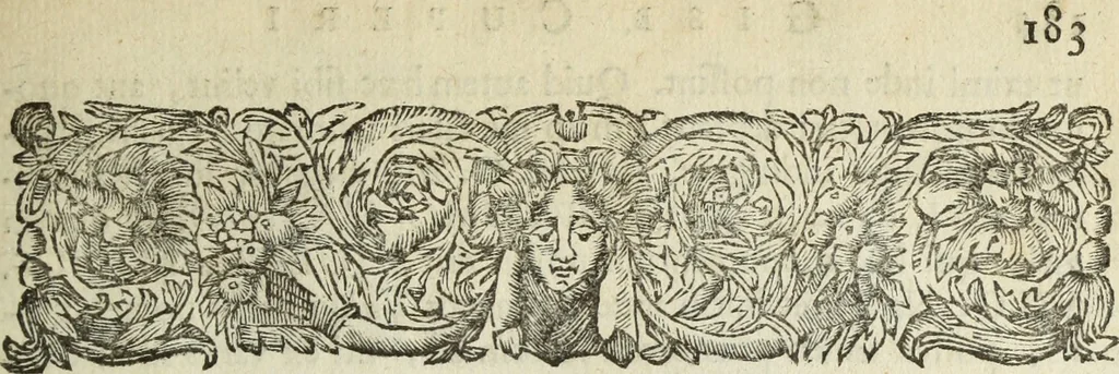 An illustration from Gisb. Cuperi Harpocrates, sive, Explicatio imagunculae argenteae perantiquae, quae in figuram Harpocratis formata representat solem : ejusdem Monumenta antiqua inedita ... ; accedit Stephani Le Moine Epistola de Melanophoris, 1687, leaf 196