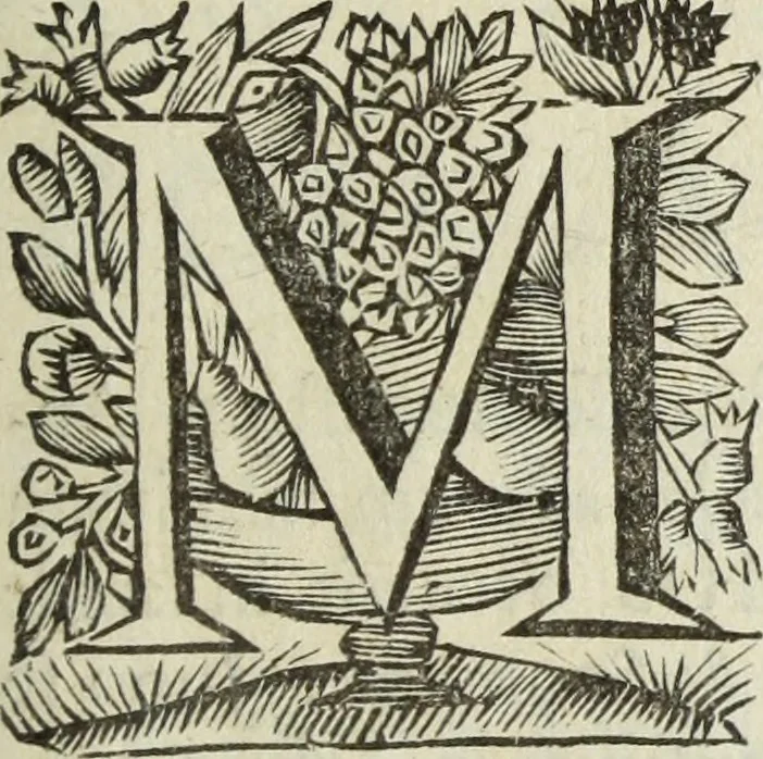 An illustration from Gisb. Cuperi Harpocrates, sive, Explicatio imagunculae argenteae perantiquae, quae in figuram Harpocratis formata representat solem : ejusdem Monumenta antiqua inedita ... ; accedit Stephani Le Moine Epistola de Melanophoris, 1687, leaf 196