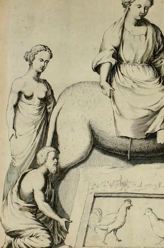 An illustration from Gisb. Cuperi Harpocrates, sive, Explicatio imagunculae argenteae perantiquae, quae in figuram Harpocratis formata representat solem : ejusdem Monumenta antiqua inedita ... ; accedit Stephani Le Moine Epistola de Melanophoris, 1687, leaf 216