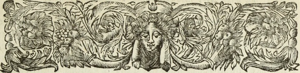 An illustration from Gisb. Cuperi Harpocrates, sive, Explicatio imagunculae argenteae perantiquae, quae in figuram Harpocratis formata representat solem : ejusdem Monumenta antiqua inedita ... ; accedit Stephani Le Moine Epistola de Melanophoris, 1687, leaf 278