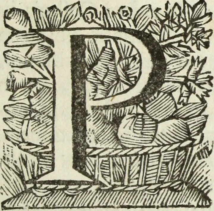 An illustration from Gisb. Cuperi Harpocrates, sive, Explicatio imagunculae argenteae perantiquae, quae in figuram Harpocratis formata representat solem : ejusdem Monumenta antiqua inedita ... ; accedit Stephani Le Moine Epistola de Melanophoris, 1687, leaf 278