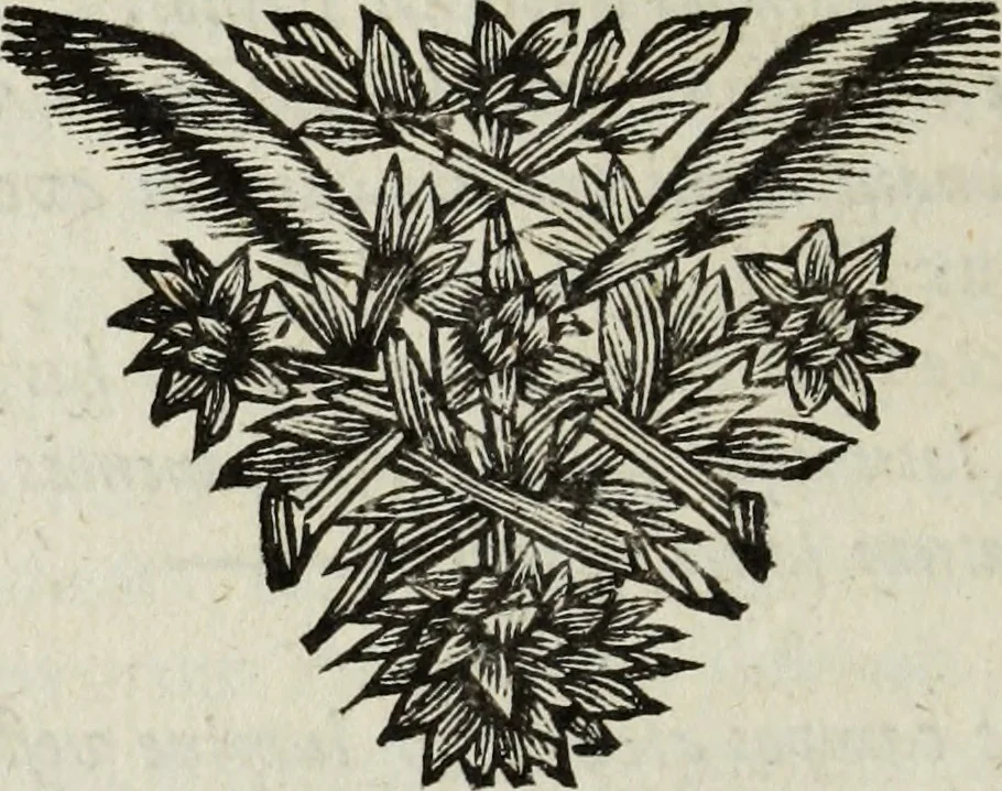 An illustration from Gisb. Cuperi Harpocrates, sive, Explicatio imagunculae argenteae perantiquae, quae in figuram Harpocratis formata representat solem : ejusdem Monumenta antiqua inedita ... ; accedit Stephani Le Moine Epistola de Melanophoris, 1687, leaf 317