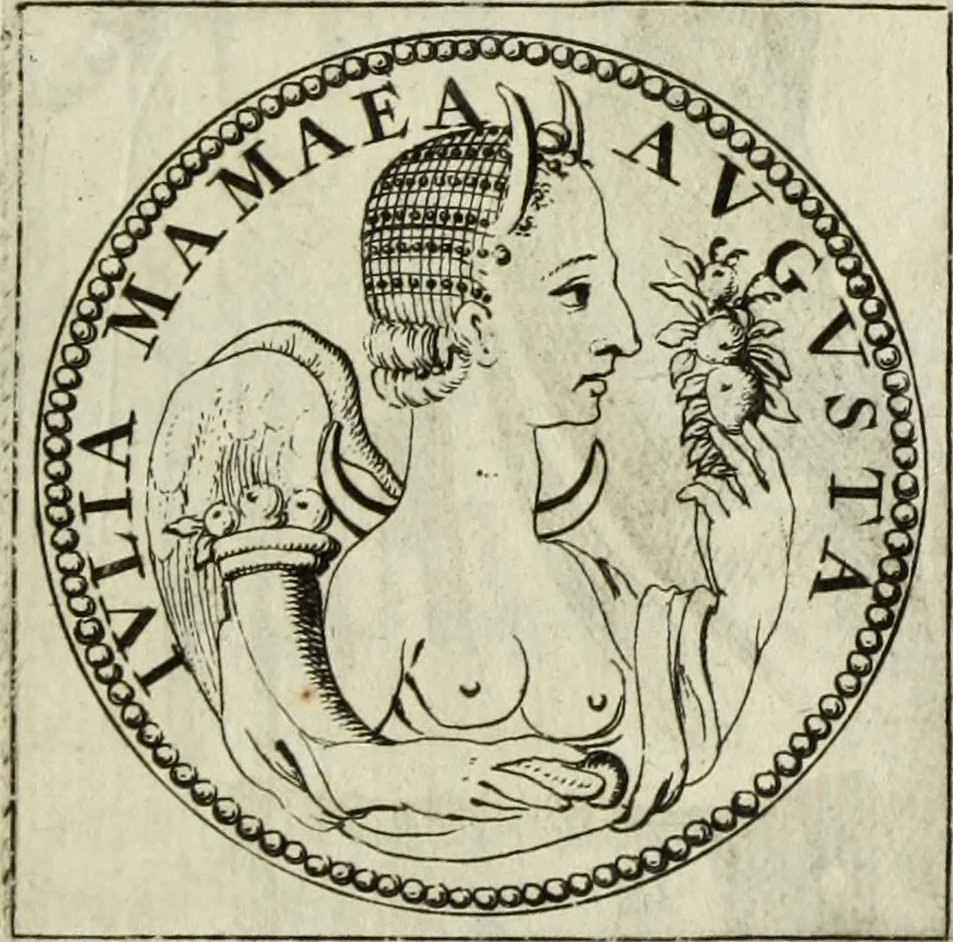 An illustration from Gisb. Cuperi Harpocrates, sive, Explicatio imagunculae argenteae perantiquae, quae in figuram Harpocratis formata representat solem : ejusdem Monumenta antiqua inedita ... ; accedit Stephani Le Moine Epistola de Melanophoris, 1687, leaf 48