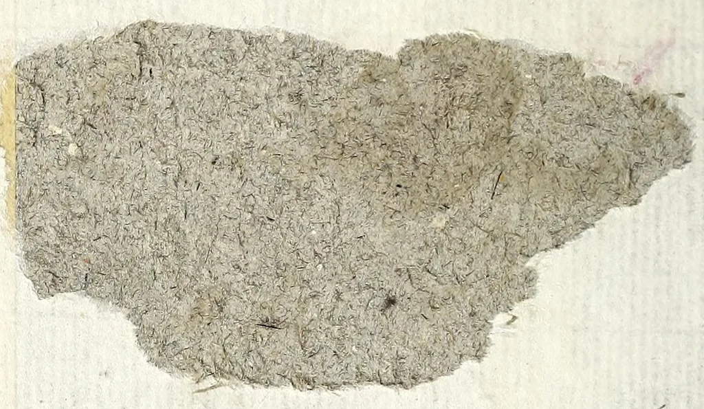 An illustration from Givditio sopra la tragedia di Canace & Macareo : con molte utili considerationi circa l'arte tragica, et di altri poemi : con la tragedia appresso, 1550, leaf 2