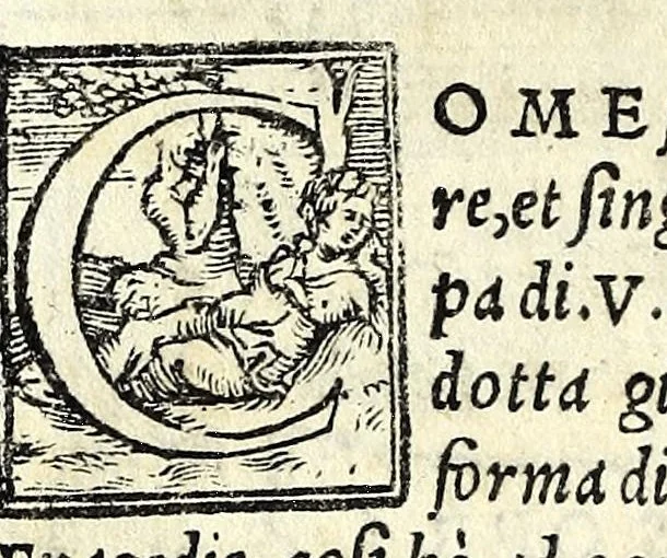 An illustration from Givditio sopra la tragedia di Canace & Macareo : con molte utili considerationi circa l'arte tragica, et di altri poemi : con la tragedia appresso, 1550, leaf 8