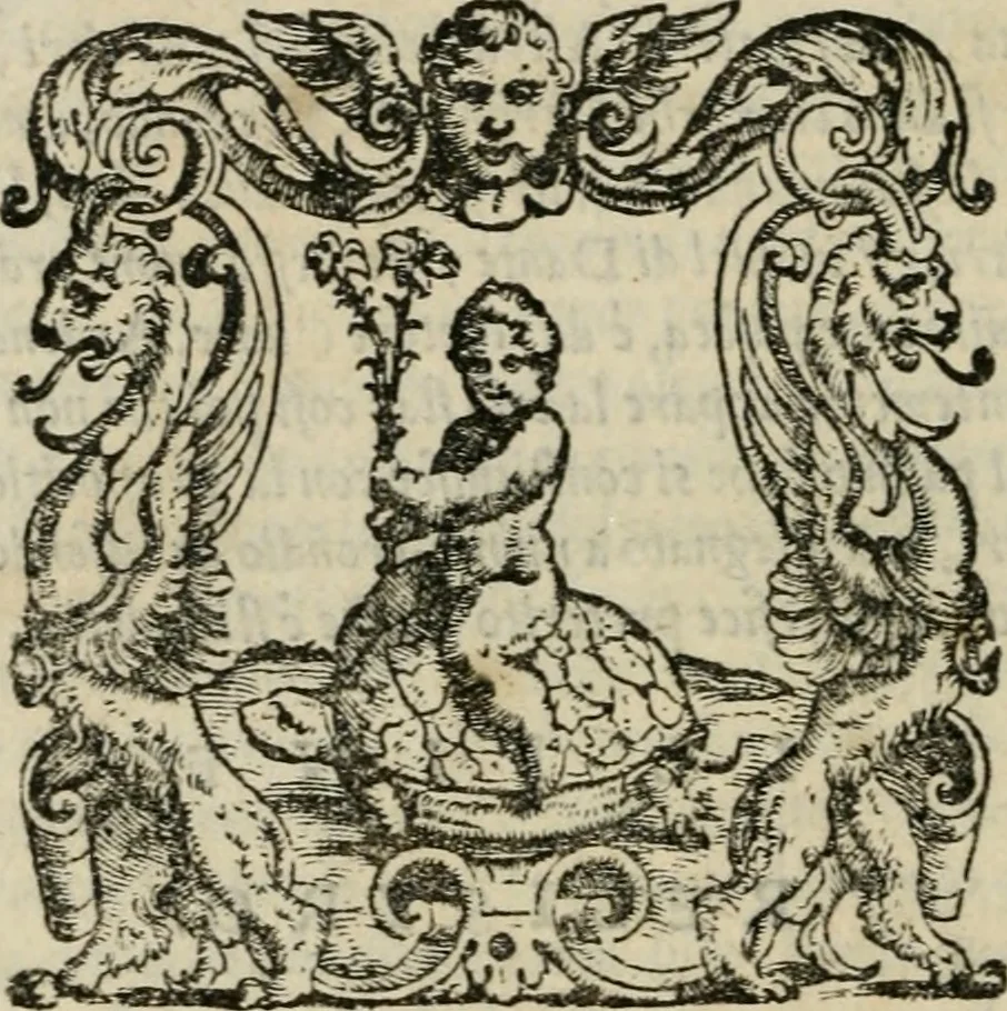 An illustration from Givnta fatta al ragionamento degli articoli et de verbi di Messer Pietro Bembo .., 1563, leaf 211
