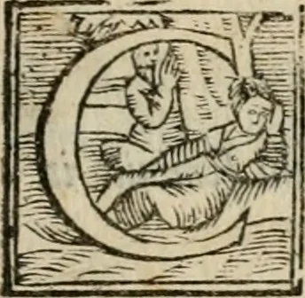 An illustration from Givnta fatta al ragionamento degli articoli et de verbi di Messer Pietro Bembo .., 1563, leaf 8