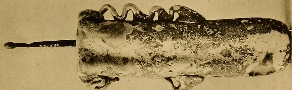 An illustration from Glass, 1907, leaf 105