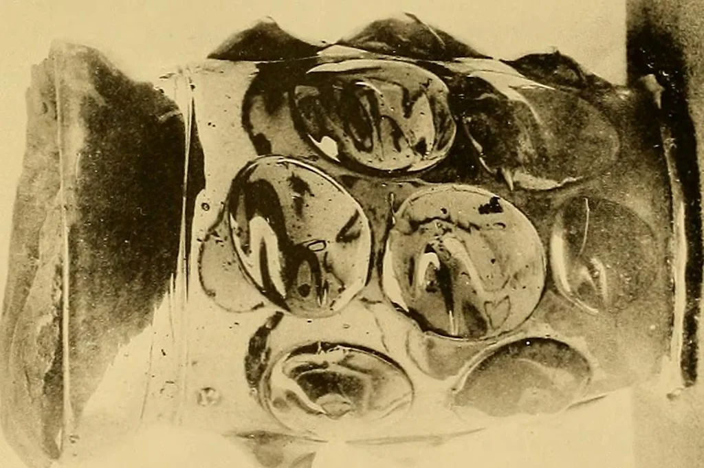 An illustration from Glass, 1907, leaf 208