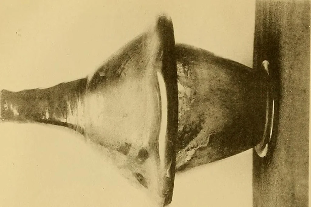 An illustration from Glass, 1907, leaf 210