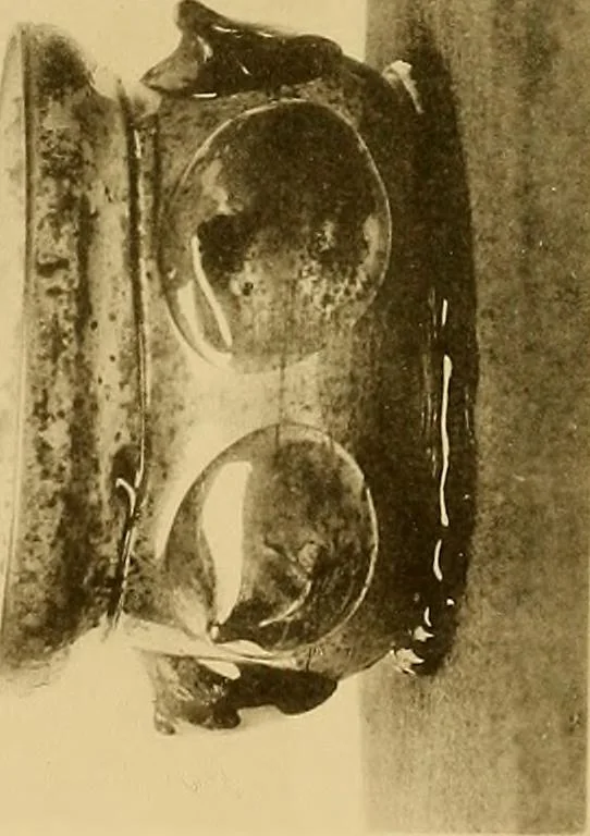 An illustration from Glass, 1907, leaf 210