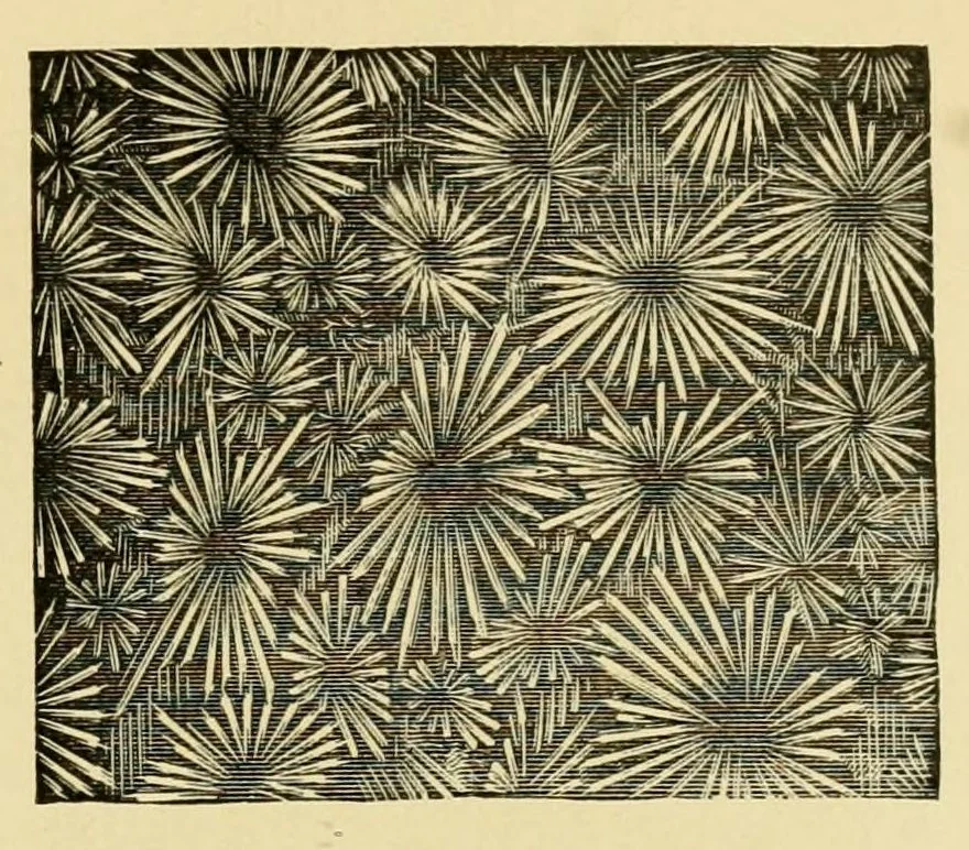 An illustration from Glass, paints, oils and painters' sundries : Pittsburgh Plate Glass Company., 1901, leaf 259