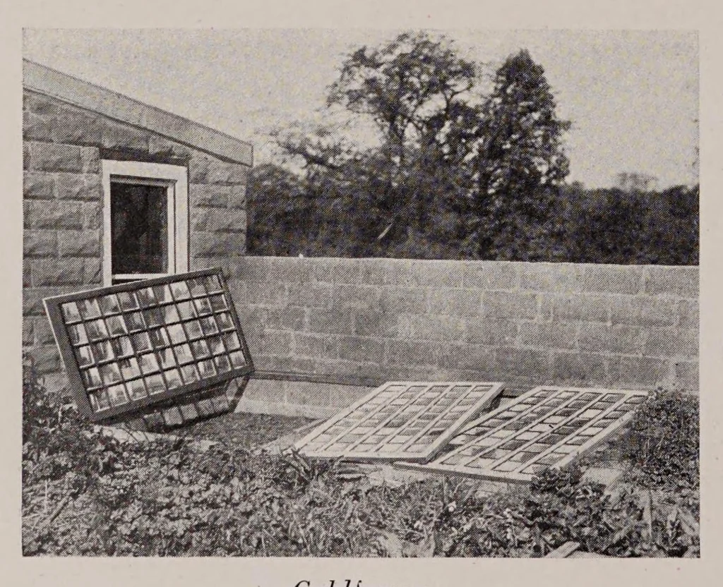 An illustration from Glass paints, varnishes and brushes : their history, manufacture and use, 1923, leaf 202