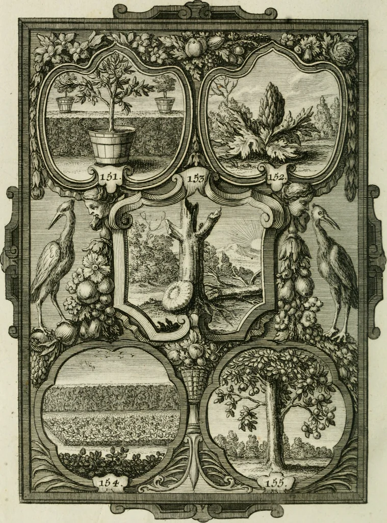 An illustration from Güldene Aepfel in silbernen Schalen, das ist, Worte geredet zu seiner Zeit über 400 Sinnbilder von allerley Zeiten und Umständen des menschlichen Lebens zu Beförderung der Erbauung, 1746, leaf 101