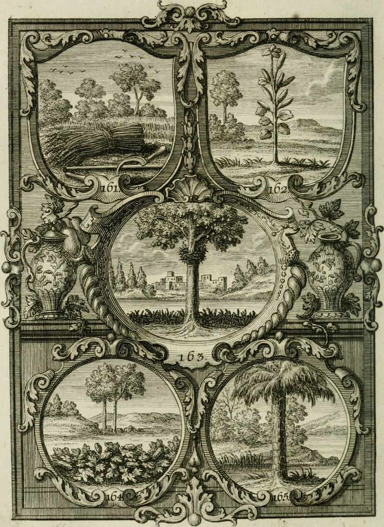 An illustration from Güldene Aepfel in silbernen Schalen, das ist, Worte geredet zu seiner Zeit über 400 Sinnbilder von allerley Zeiten und Umständen des menschlichen Lebens zu Beförderung der Erbauung, 1746, leaf 107