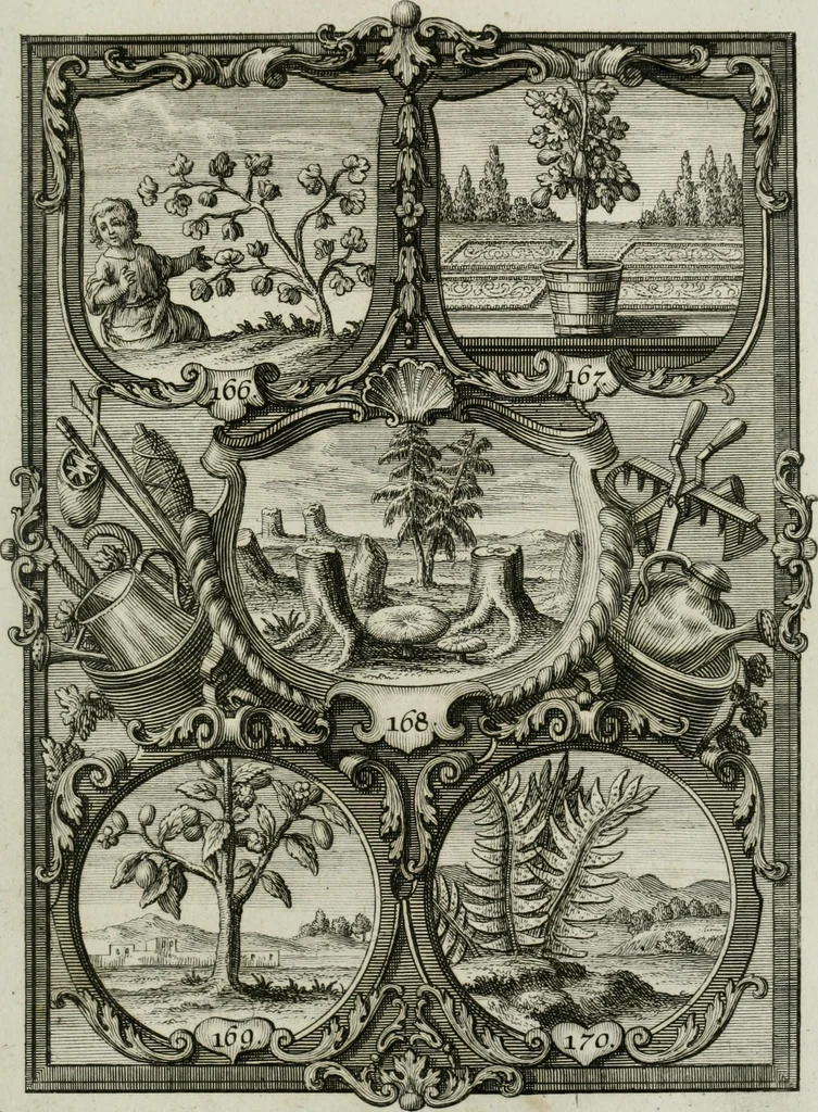 An illustration from Güldene Aepfel in silbernen Schalen, das ist, Worte geredet zu seiner Zeit über 400 Sinnbilder von allerley Zeiten und Umständen des menschlichen Lebens zu Beförderung der Erbauung, 1746, leaf 110
