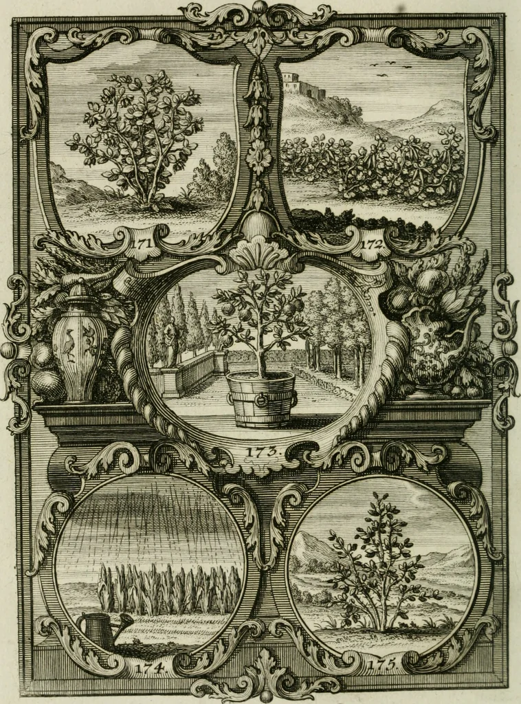 An illustration from Güldene Aepfel in silbernen Schalen, das ist, Worte geredet zu seiner Zeit über 400 Sinnbilder von allerley Zeiten und Umständen des menschlichen Lebens zu Beförderung der Erbauung, 1746, leaf 113
