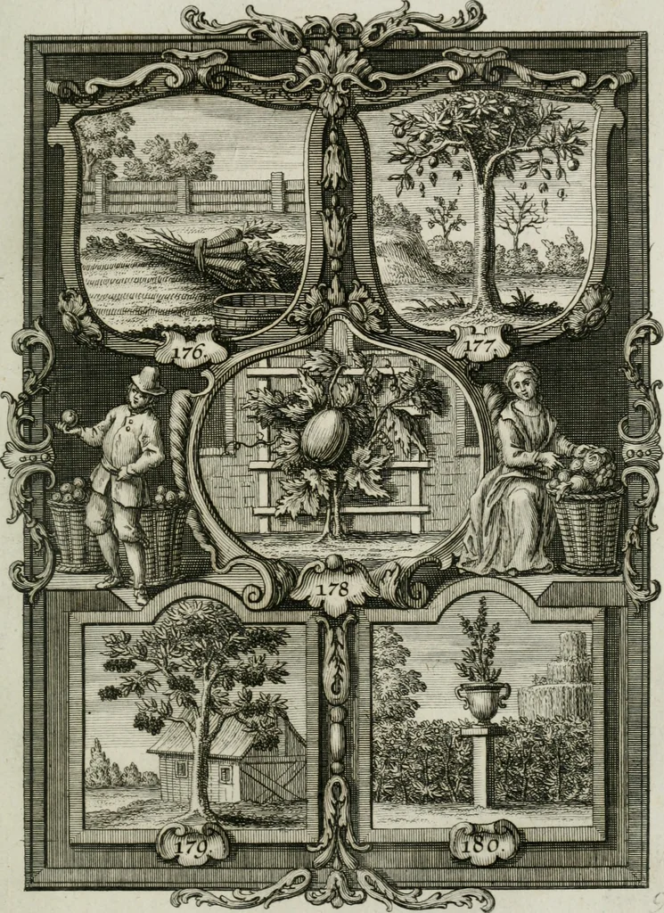 An illustration from Güldene Aepfel in silbernen Schalen, das ist, Worte geredet zu seiner Zeit über 400 Sinnbilder von allerley Zeiten und Umständen des menschlichen Lebens zu Beförderung der Erbauung, 1746, leaf 116