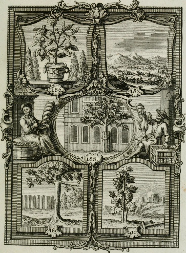 An illustration from Güldene Aepfel in silbernen Schalen, das ist, Worte geredet zu seiner Zeit über 400 Sinnbilder von allerley Zeiten und Umständen des menschlichen Lebens zu Beförderung der Erbauung, 1746, leaf 122